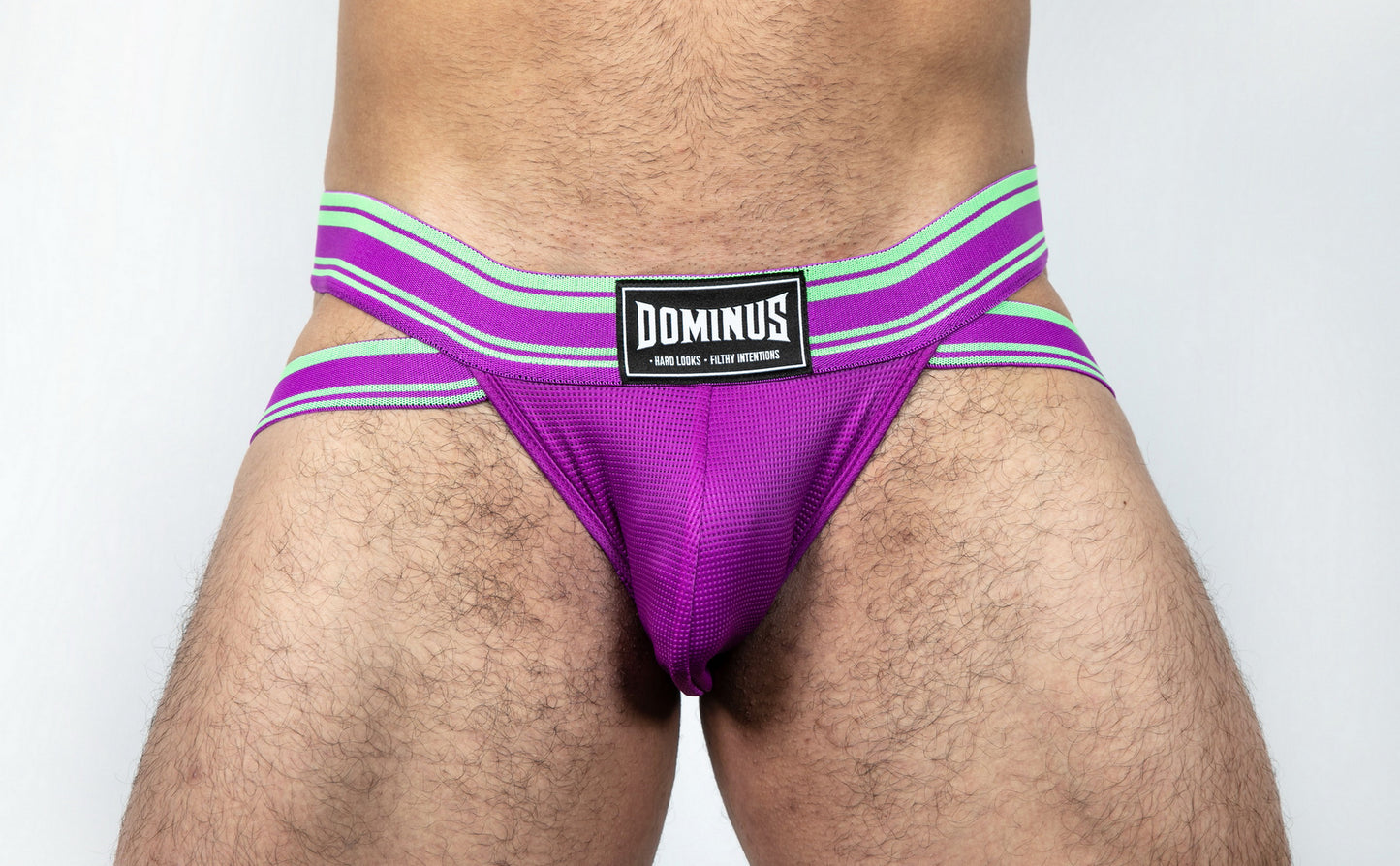 Dominus HyperFlex Brief