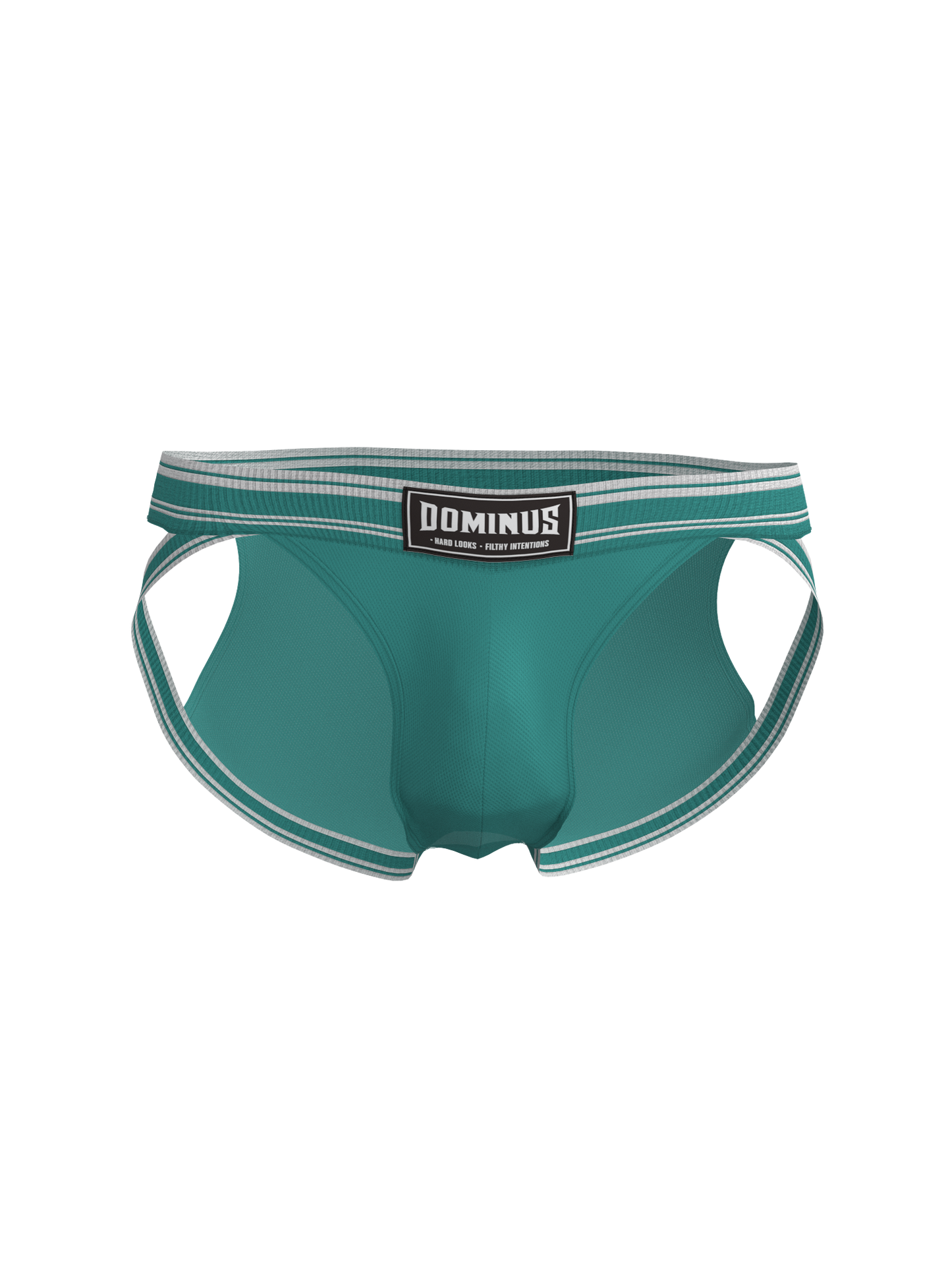 Dominus HyperFlex Brief