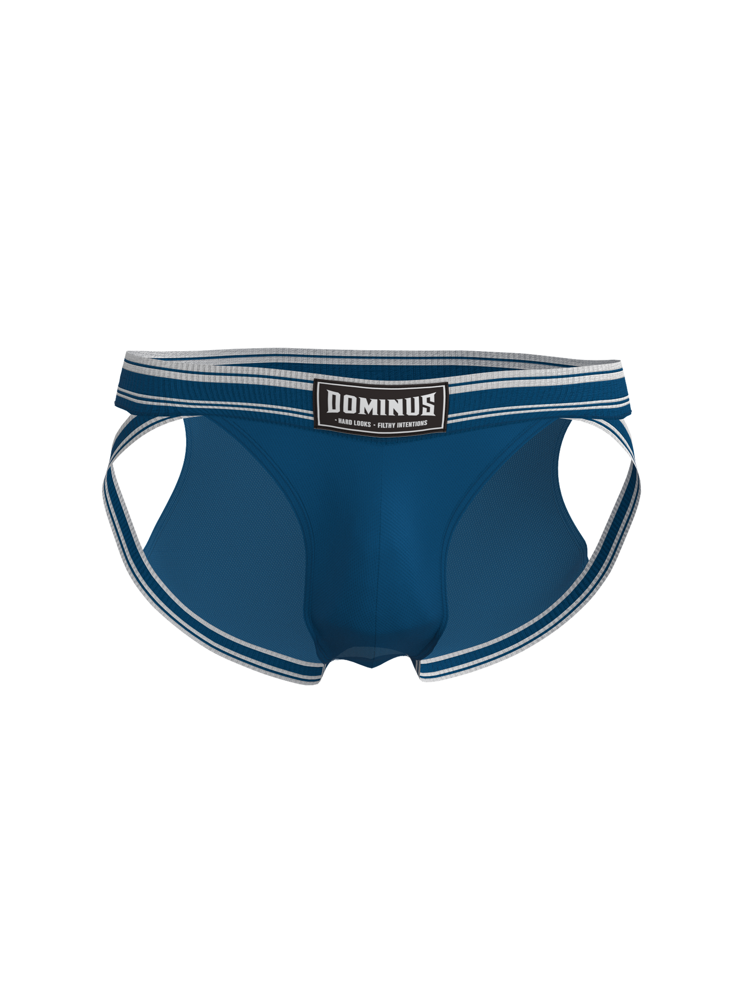 Dominus HyperFlex Brief