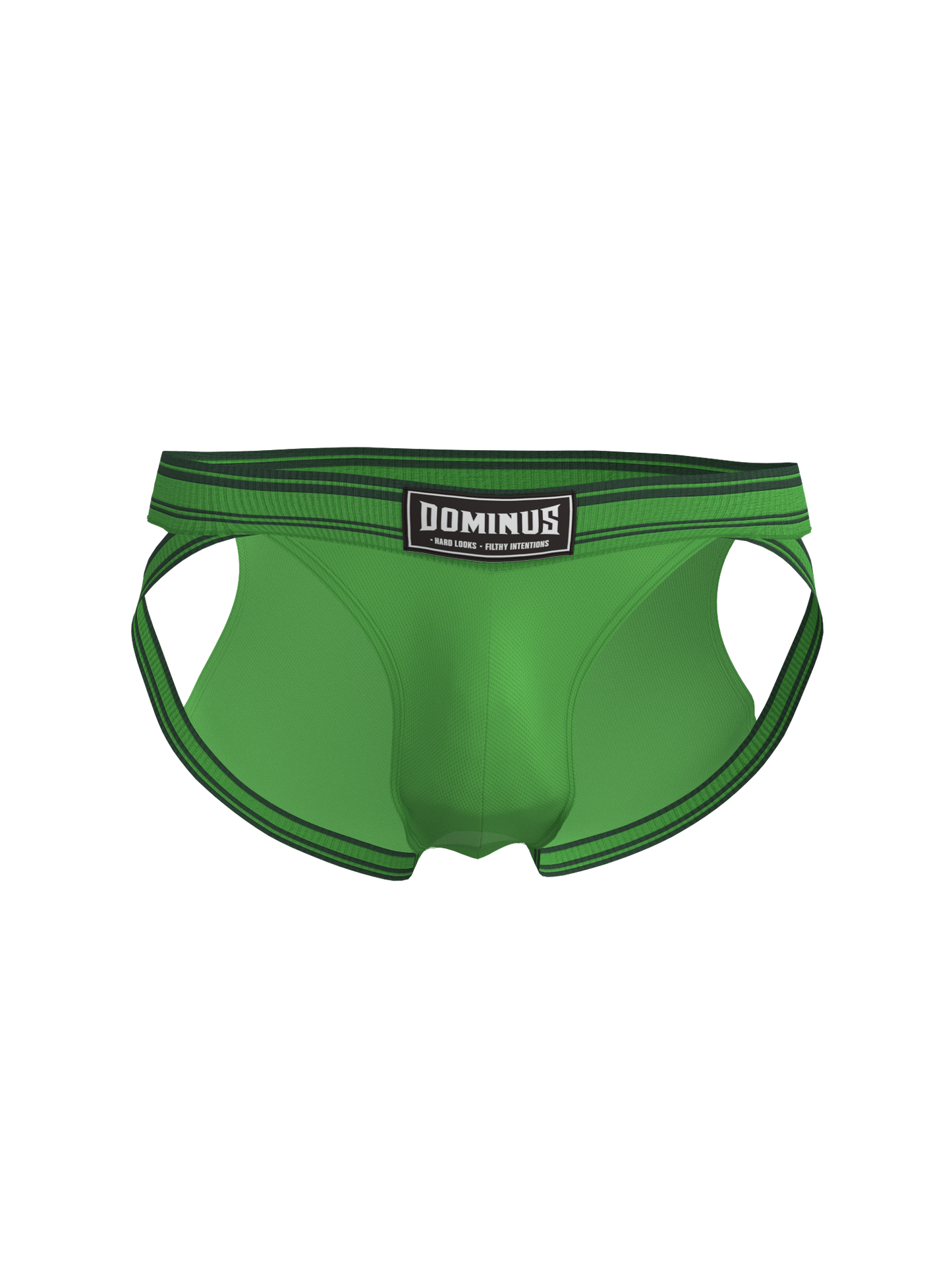 Dominus HyperFlex Brief