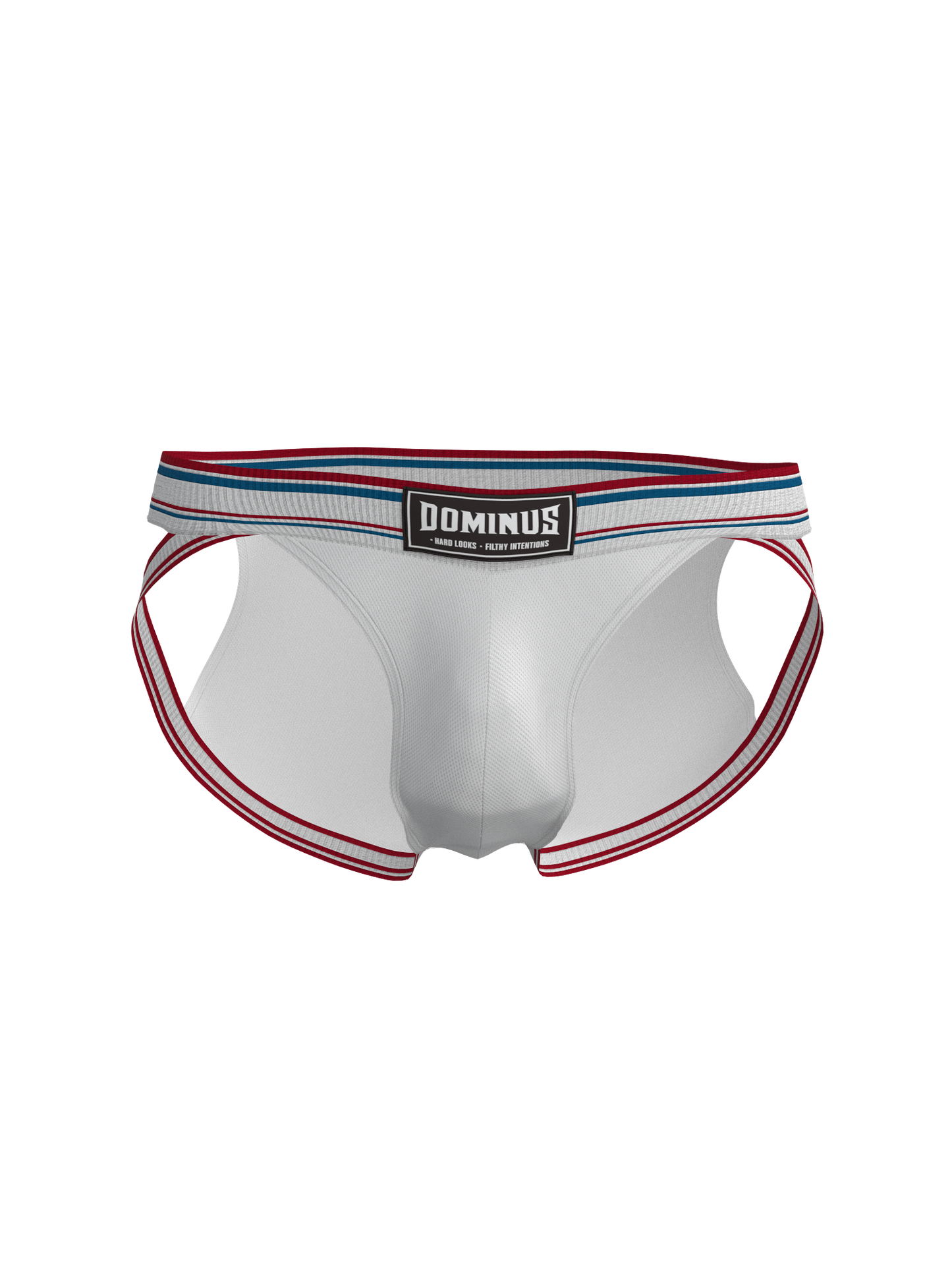 Dominus HyperFlex Brief