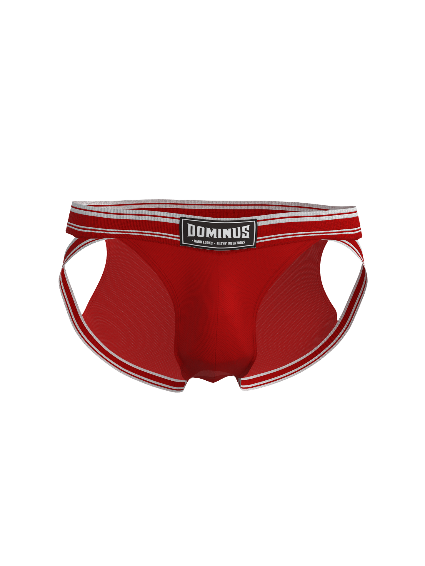 Dominus HyperFlex Brief