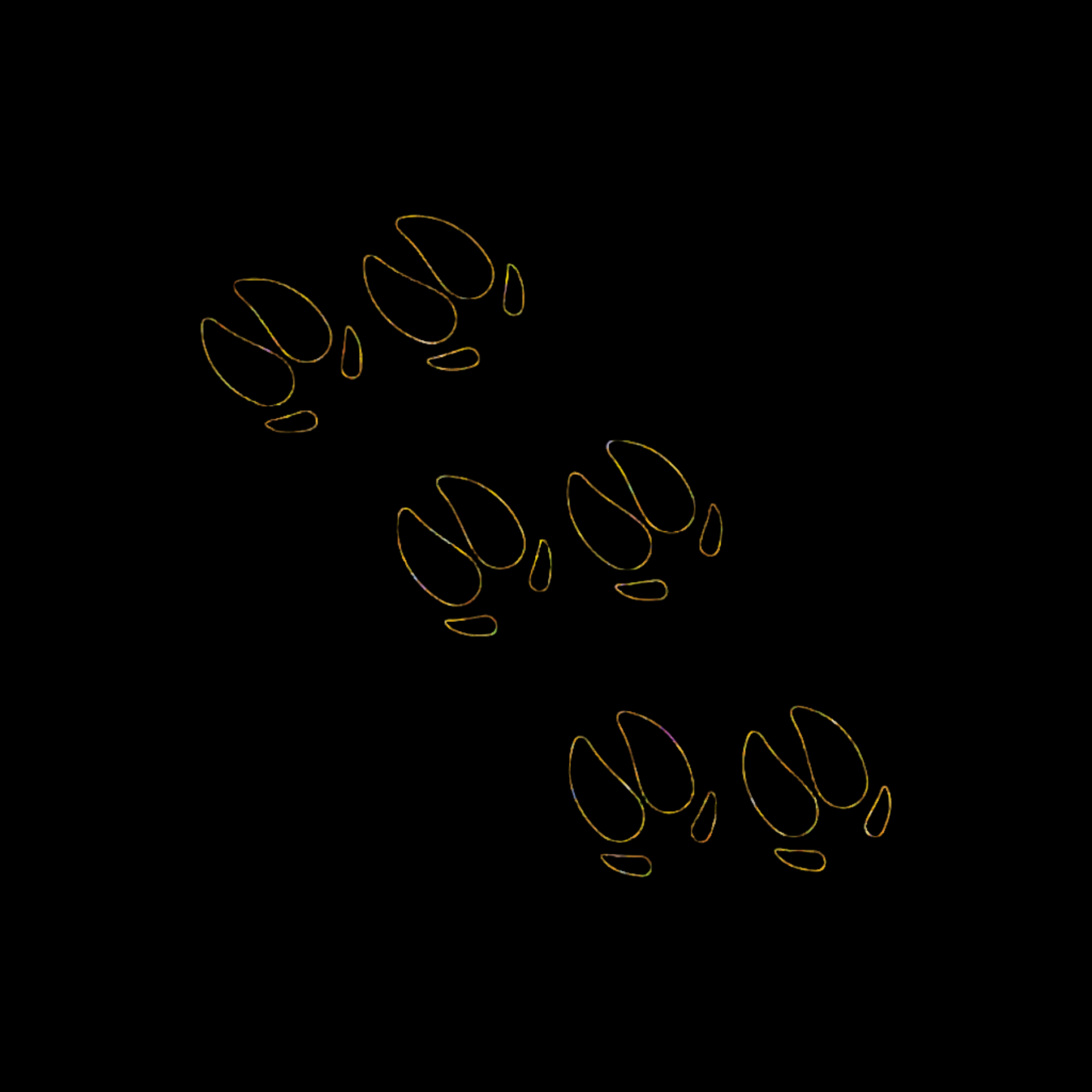 Glitter Pig Trotter Singlet