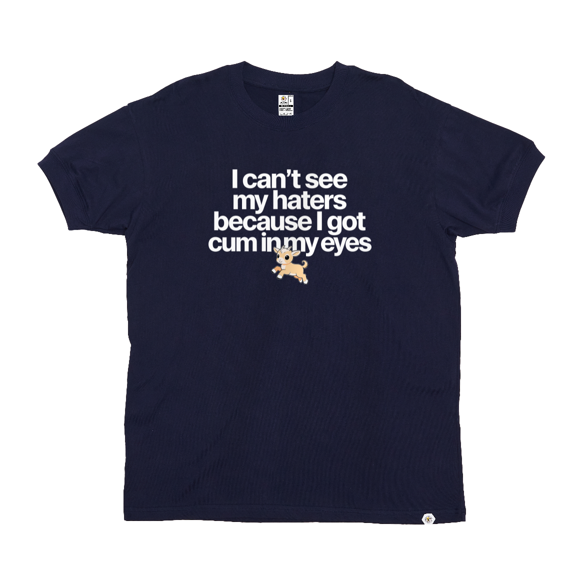 I can't see my haters T-Shirt