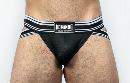 Dominus HyperFlex Brief