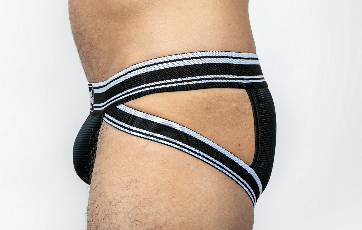 Dominus HyperFlex Brief