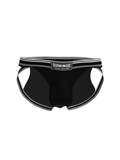 Dominus HyperFlex Brief