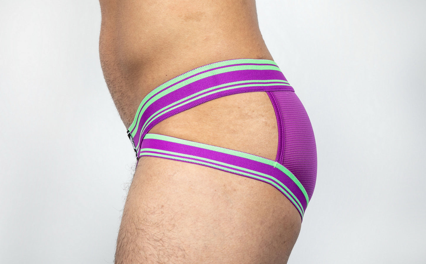 Dominus HyperFlex Brief