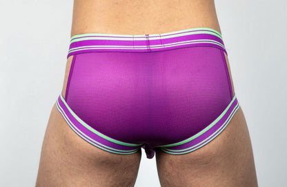 Dominus HyperFlex Brief