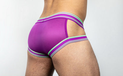Dominus HyperFlex Brief