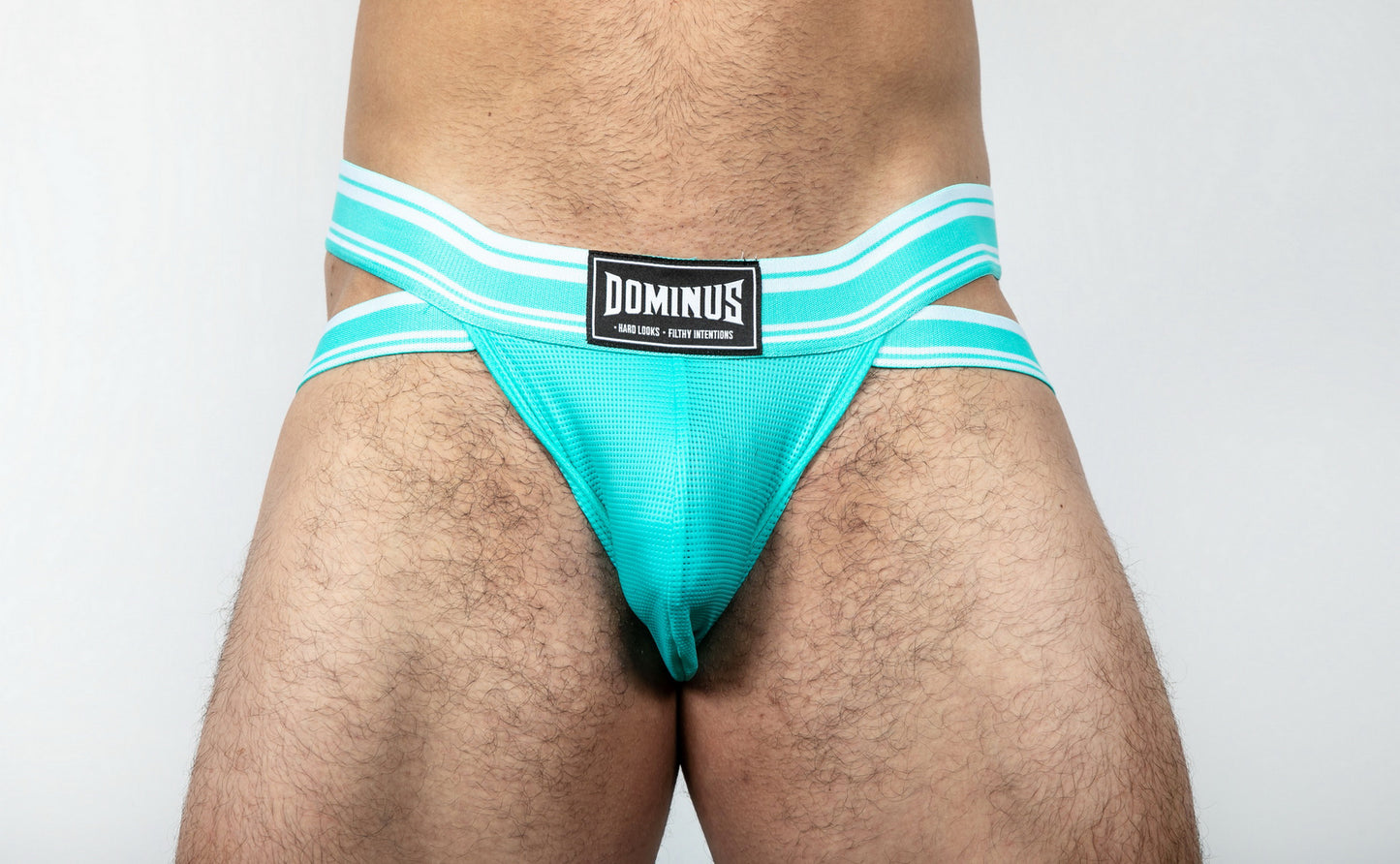 Dominus HyperFlex Brief