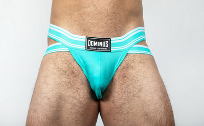 Dominus HyperFlex Brief