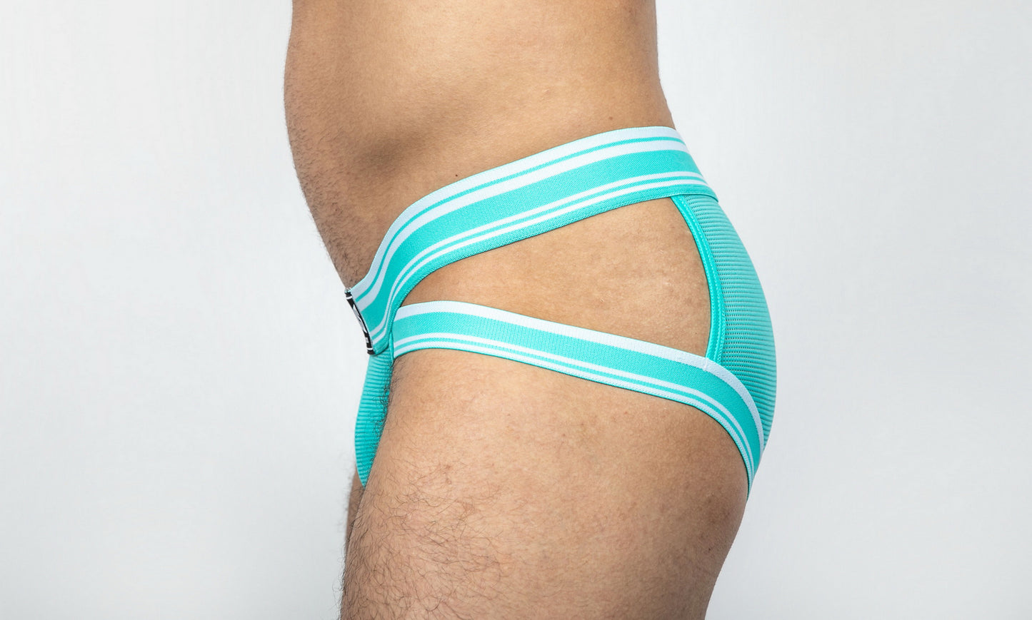 Dominus HyperFlex Brief