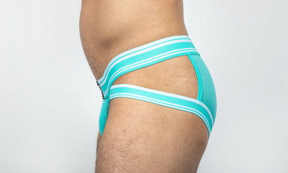 Dominus HyperFlex Brief