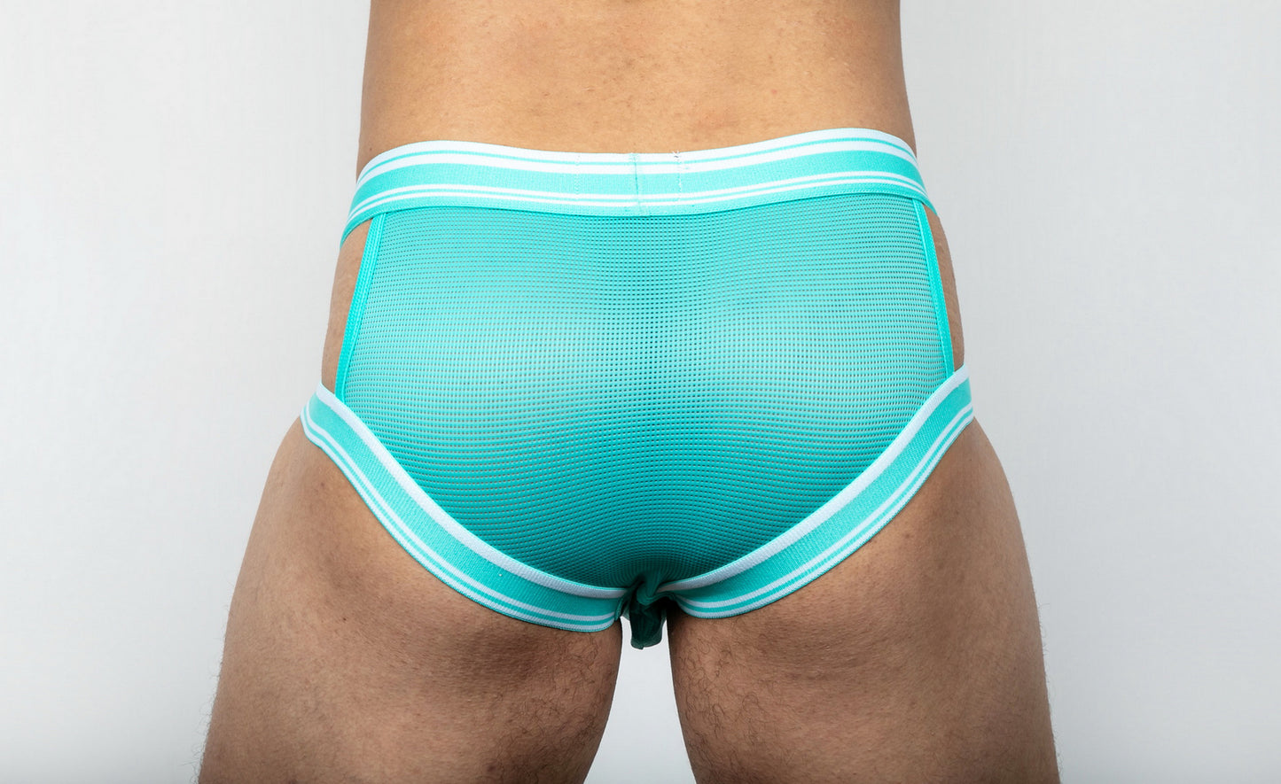 Dominus HyperFlex Brief