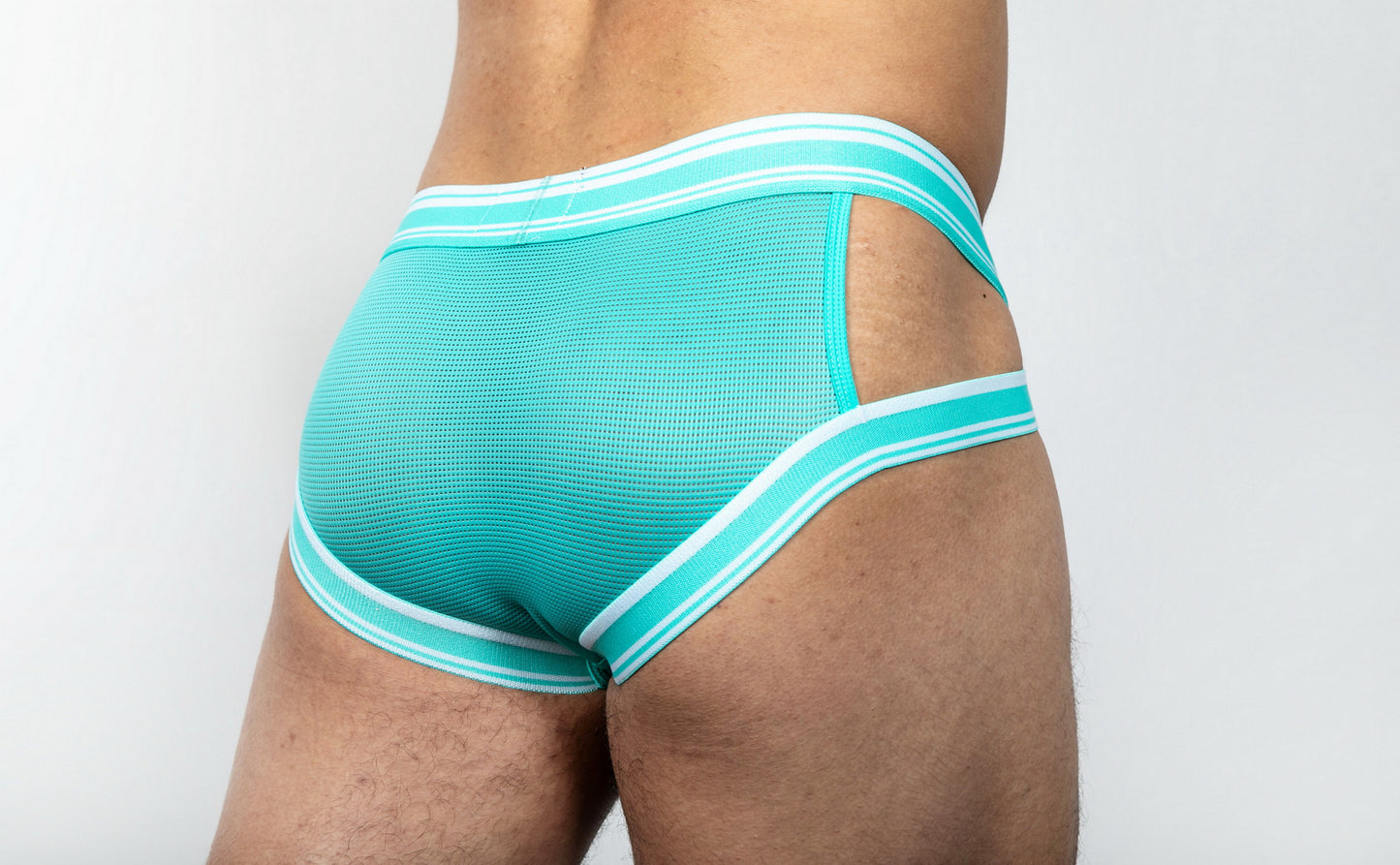 Dominus HyperFlex Brief