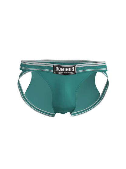 Dominus HyperFlex Brief