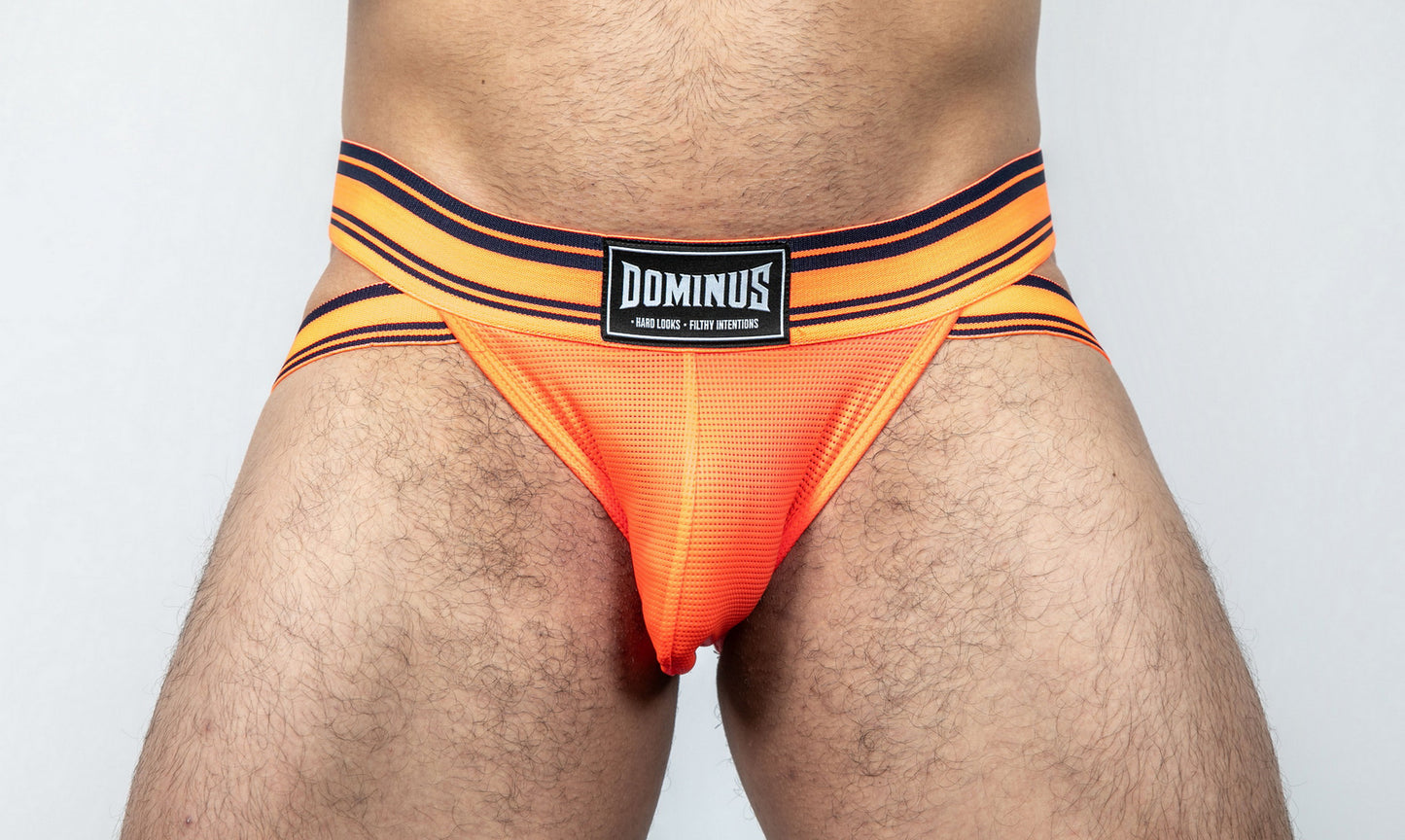 Dominus HyperFlex Brief