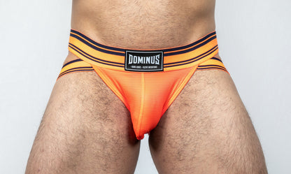 Dominus HyperFlex Brief