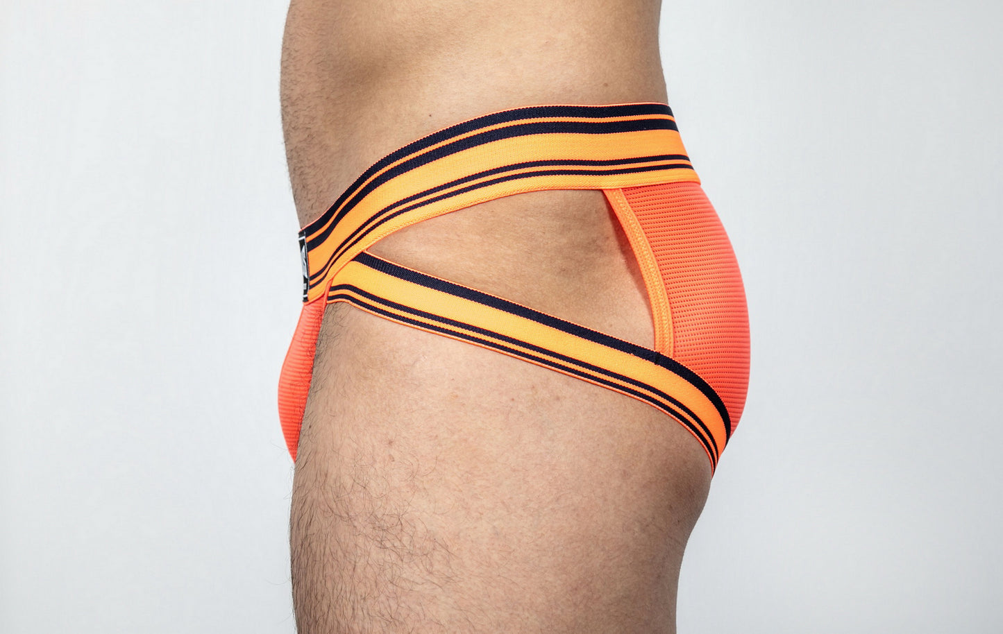 Dominus HyperFlex Brief