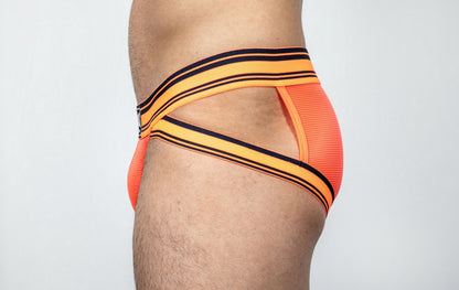 Dominus HyperFlex Brief