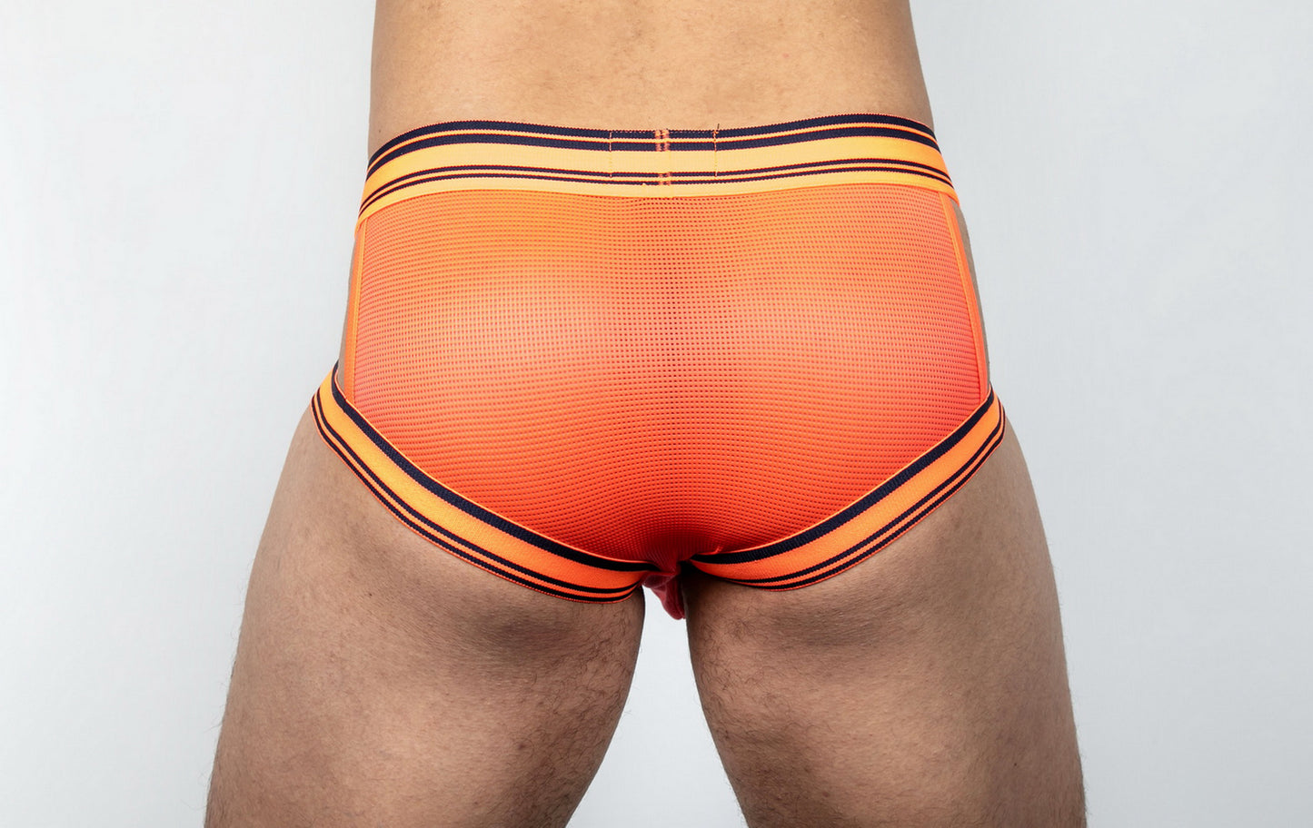 Dominus HyperFlex Brief