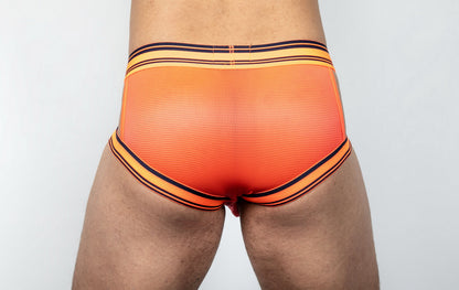 Dominus HyperFlex Brief