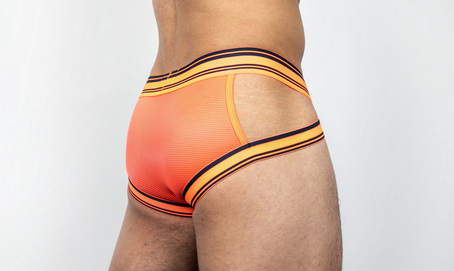 Dominus HyperFlex Brief