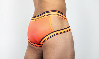 Dominus HyperFlex Brief
