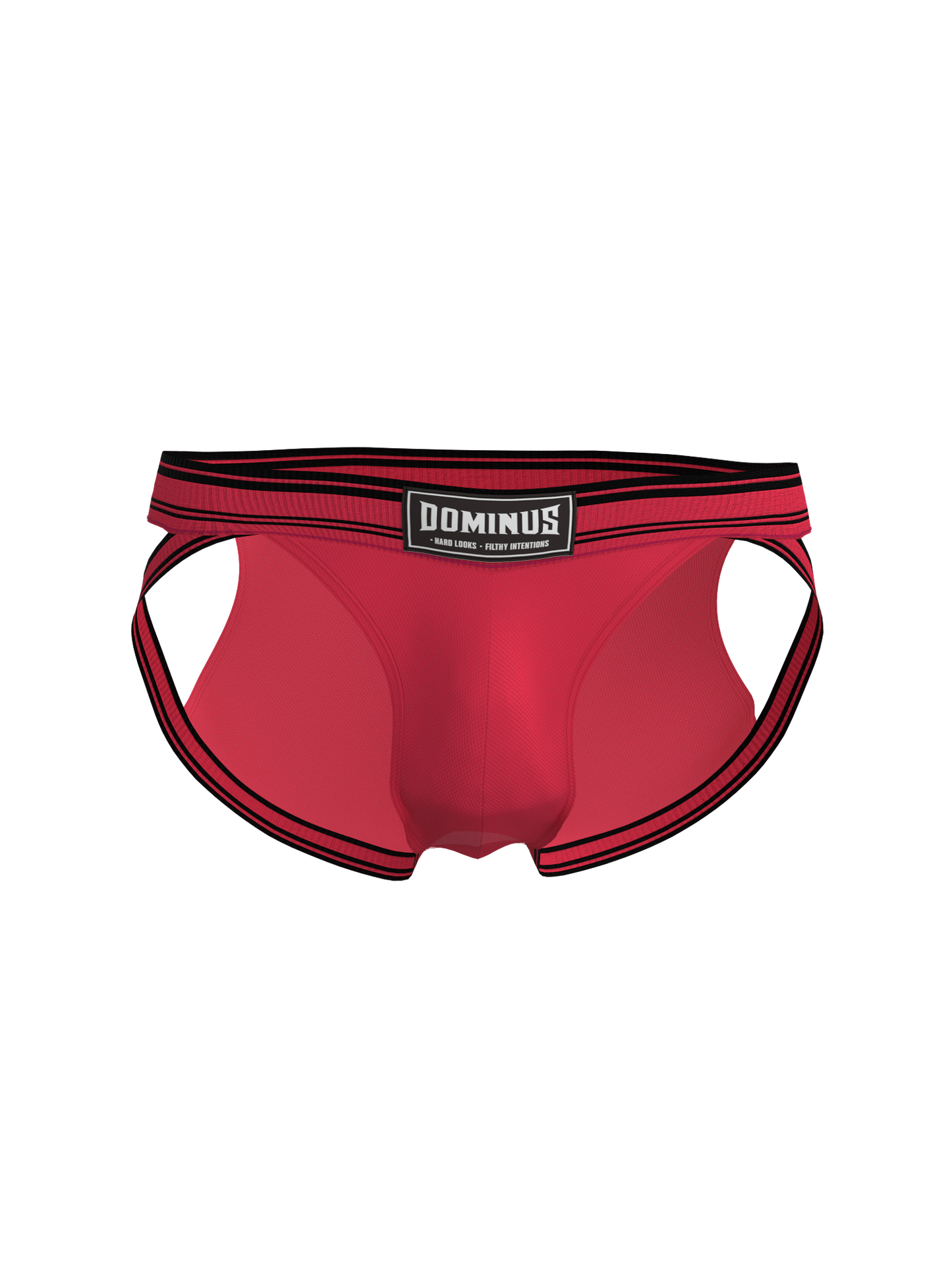 Dominus HyperFlex Brief