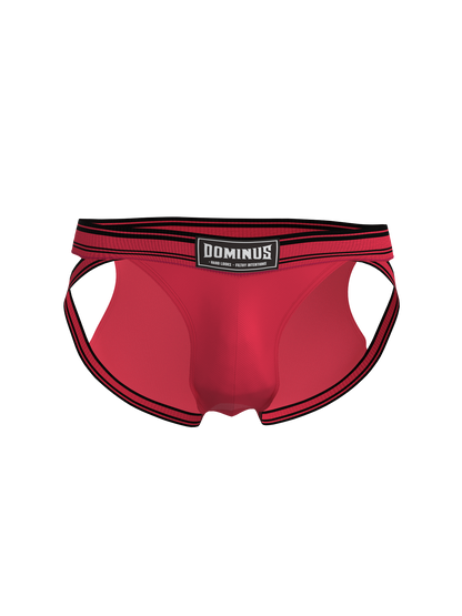 Dominus HyperFlex Brief