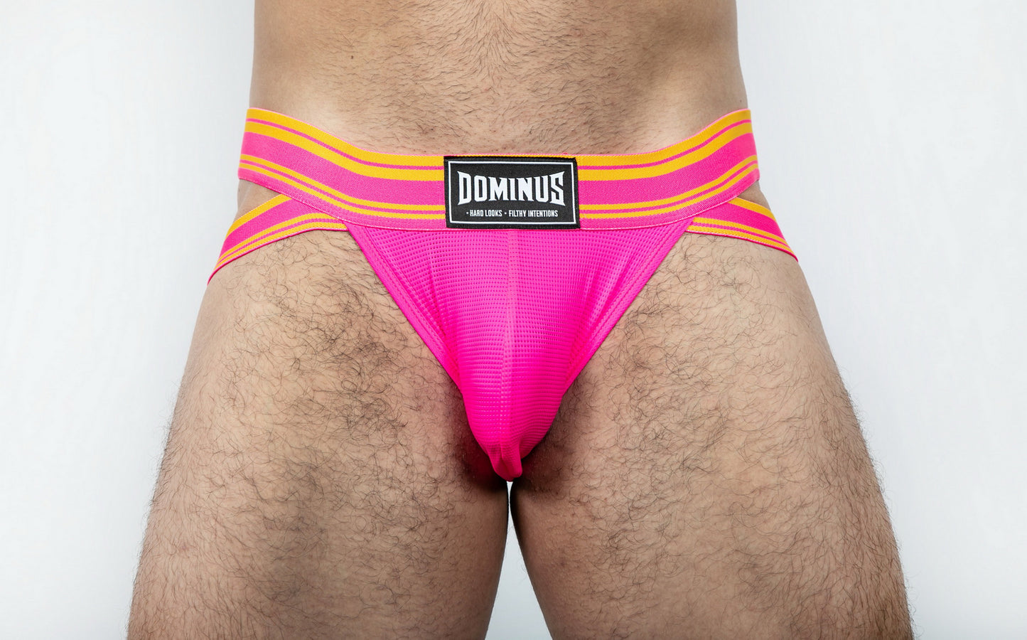 Dominus HyperFlex Brief