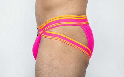 Dominus HyperFlex Brief