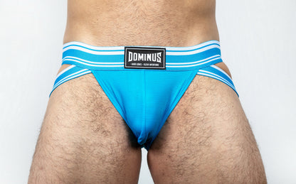 Dominus HyperFlex Brief