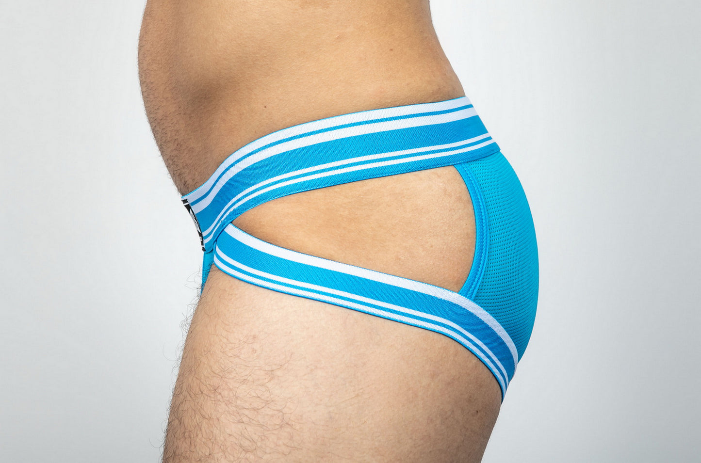 Dominus HyperFlex Brief