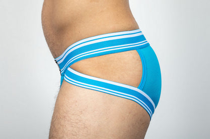 Dominus HyperFlex Brief