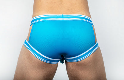 Dominus HyperFlex Brief