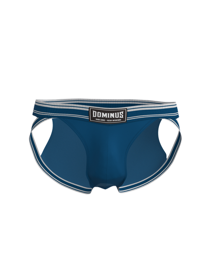 Dominus HyperFlex Brief