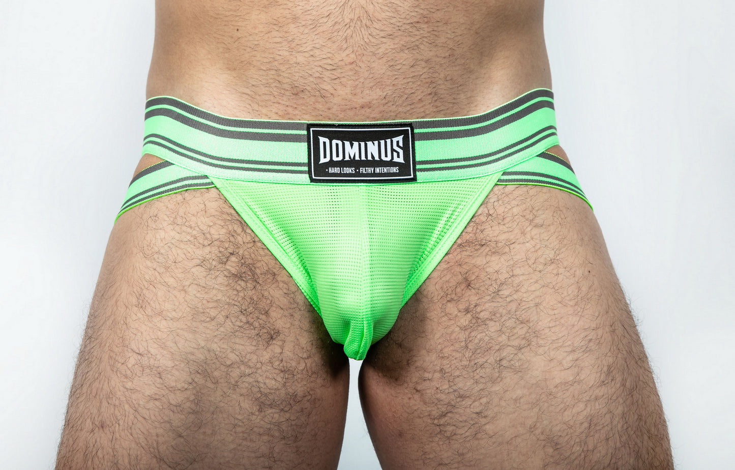 Dominus HyperFlex Brief