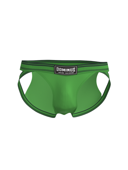Dominus HyperFlex Brief