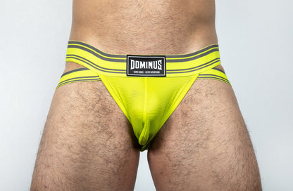 Dominus HyperFlex Brief