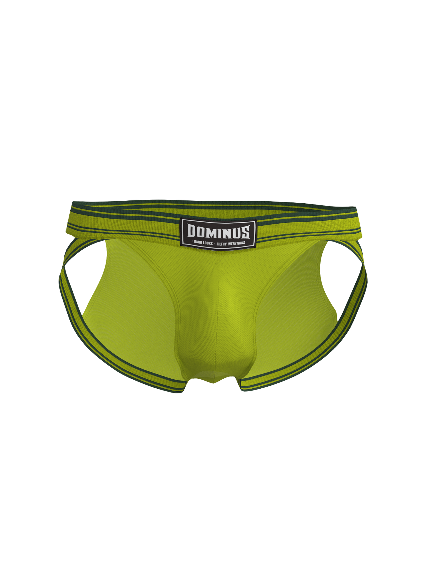 Dominus HyperFlex Brief
