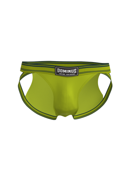 Dominus HyperFlex Brief