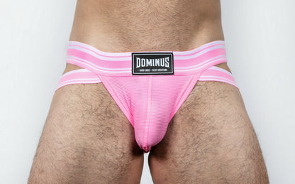 Dominus HyperFlex Brief