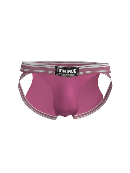 Dominus HyperFlex Brief