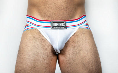Dominus HyperFlex Brief