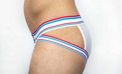 Dominus HyperFlex Brief