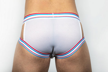 Dominus HyperFlex Brief