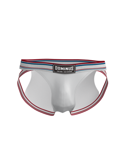 Dominus HyperFlex Brief