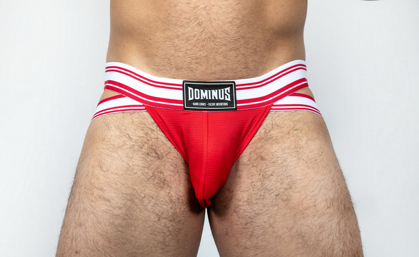 Dominus HyperFlex Brief